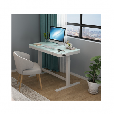 Professional electric adjustment computer standing desk glass with adjustable